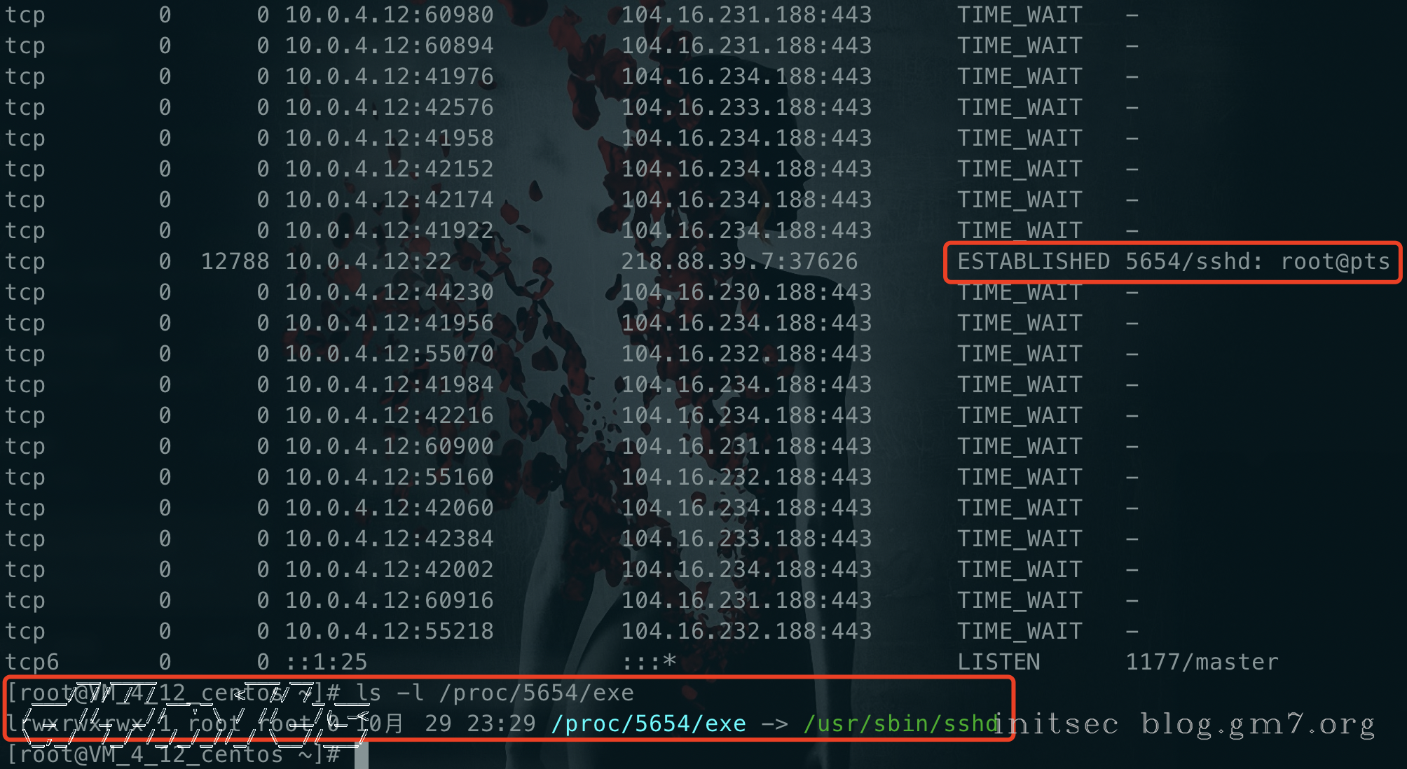 image-20201029233328339