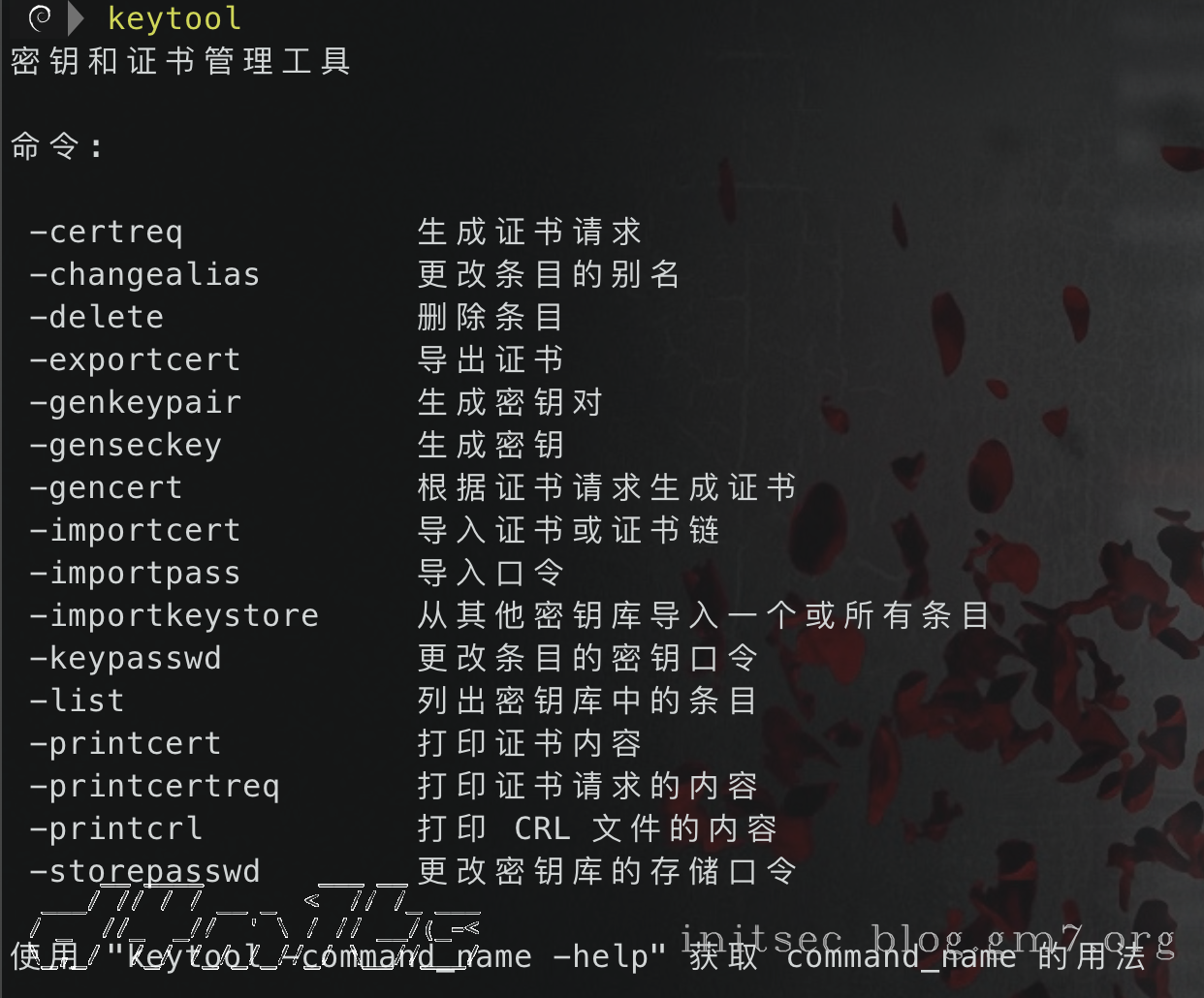 image-20210325104930379