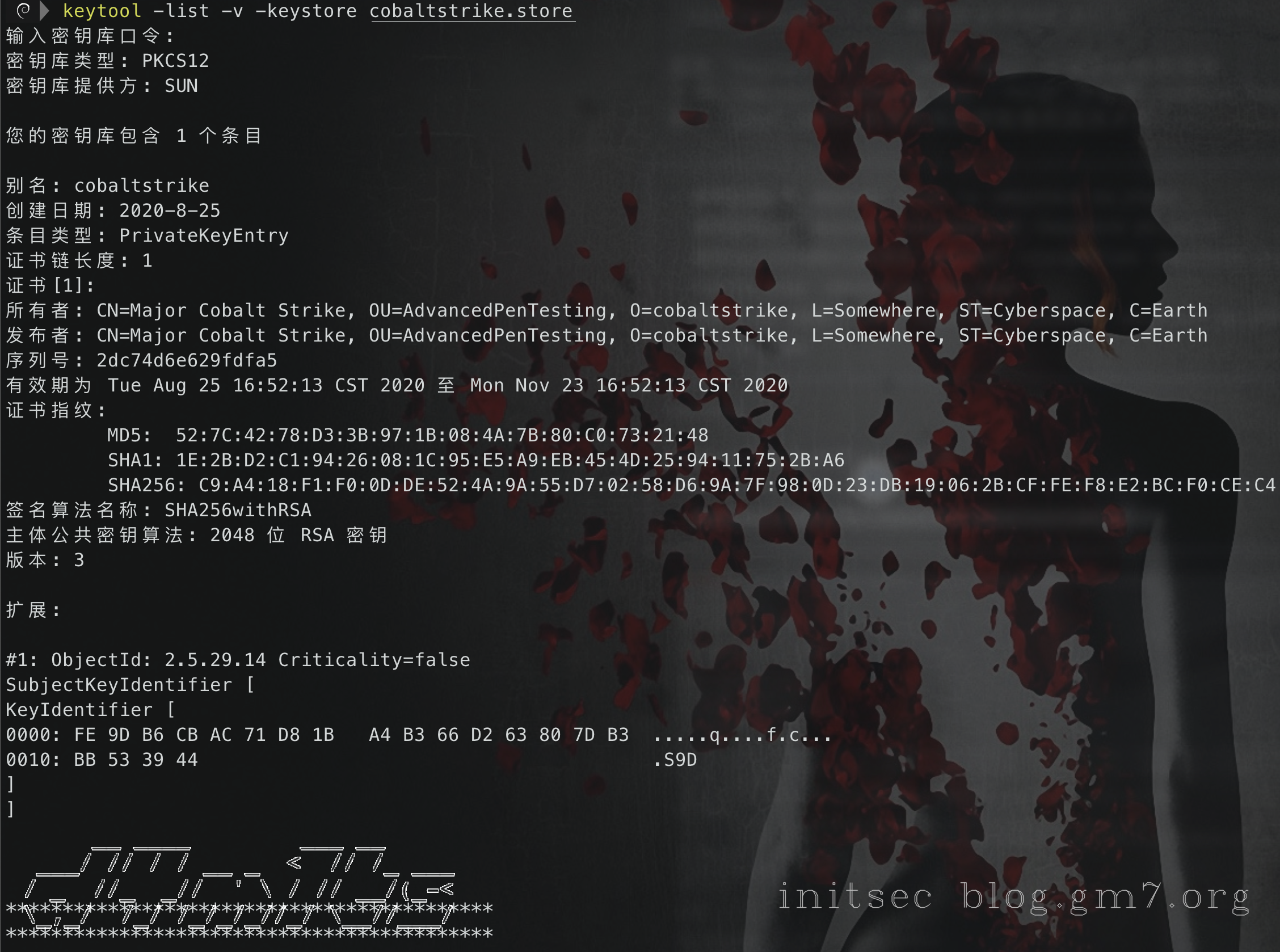 image-20210325105221883