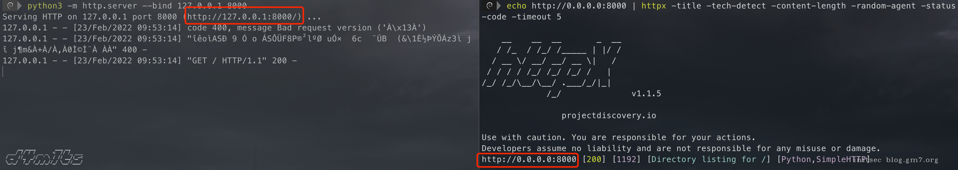 image-20220223095336778