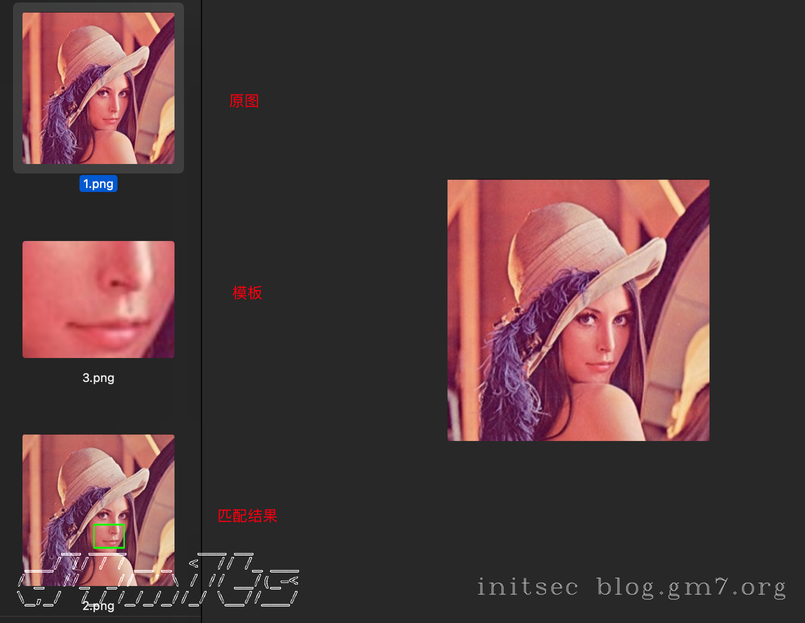 image-20240513下午125215977